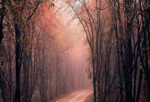 “深圳AI陪伴机器人项目获红杉资本青睐，引领智能交互新潮流”