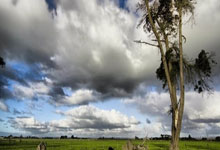 贝宁政变：军人夺权引发国家动荡