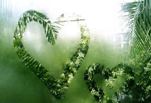 “深圳AI陪伴机器人项目获红杉资本青睐，引领智能交互新潮流”