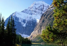 “深圳AI陪伴机器人项目获红杉资本青睐，引领智能交互新潮流”