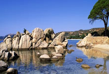 绿营政客操弄小学唱校歌：国台办严正批驳